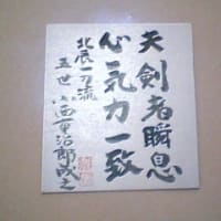 北辰一刀流 極意 切り落とし 北辰一刀流と現代剣道 北辰一刀流 極意 切り落とし 北辰一刀流と現代剣道