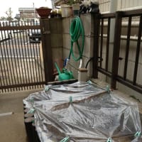 これが究極の花壇野菜畑