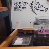 新規OPENの道の駅おおえへ