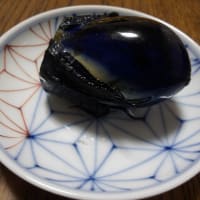 ミントの藪撲滅