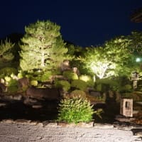 「第4回えいでん星空観望会」。星空を見上げる夜。岩倉の「妙満寺」の夜間特別拝観