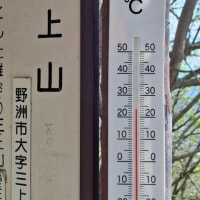 Kennyのぶらりカメラを提げて：今年もこのシーズン：お花