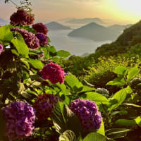 紫雲出山からおはようございます。