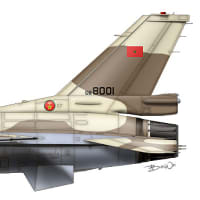 F - 16C ブロック52 Royal Moroccan Air Force