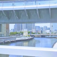 JULIE誕生月の〆。用事さんぽ②８年も待てない。。。