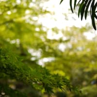渉成園
