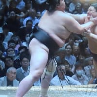 フラセン芍薬苑が満開　大の里、高安破り2連勝