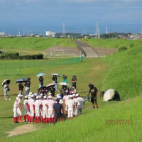 サッカー場のヒバリ