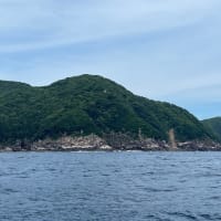那智勝浦港から尾鷲港へ