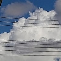 今日の雲