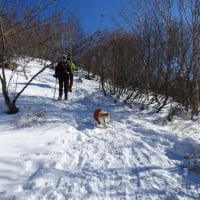 赤城 長七郎山と小沼氷上横断