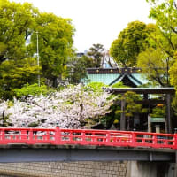 「目黒川の桜」／荏原神社