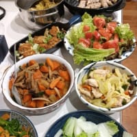 犬山温泉旅行～帰省