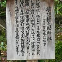 大宰府市の散策記　on　2025-4-9＆4-10　その14　宝満宮　竈門神社