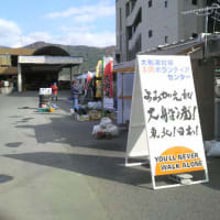 大船渡再訪（２０１１年１１月）
