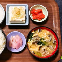 家で朝ごはん（ごはんは新潟県産ミルキークイーン、辛子明太子（切子）、冷奴、とろろ、ほうれん草と平茸と玉子のみそ汁、岩下の新生姜）（2025年4月23日）
