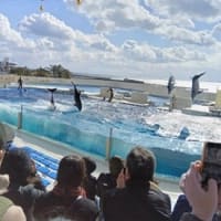 手芸仲間とバスツアー