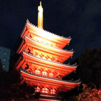 博多の夜を彩る
