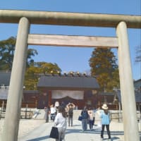 HISが公式インスタフォロワー1万人突破記念ツアーを出していたので参加