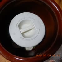 白菜と小梅漬けました