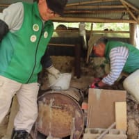 タケノコ掘りと炭焼き窯の修復