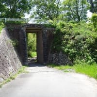 １０年ぶりの大仏鉄道４