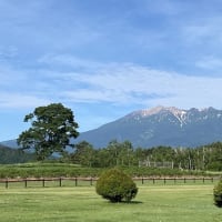 バイクや車の往来多いです