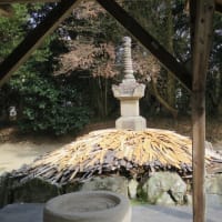 鎌倉を知る　ーー野間大坊（源義朝の墓）－－