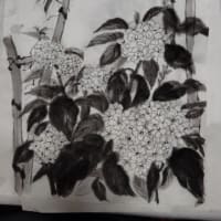 紫陽花