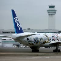 横田の翌日は羽田①　飛行機に乗れない・・・