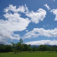 梅雨入りの翌日、青空の下のあづま総合運動公園にて（2025.6.15）#2 せせらぎ・桜の広場、しゃくなげの丘