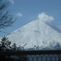 富士山が美しかった