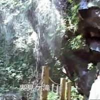 八丈小島もあるく　よみがえれ　三宅島応援ツアー　８回目　八丈島