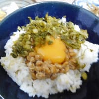 217.　お散歩途中の収穫物　Colheita durante a caminhada.　