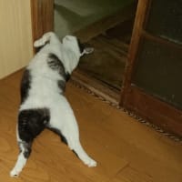 エアコン部屋にて