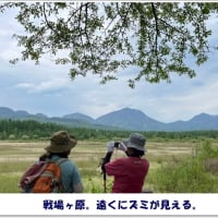 ニューシネマパラダイスから 風のうわさ ニューシネマパラダイスから 風のうわさ