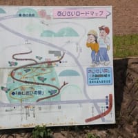 新宮あじさいの里～後編