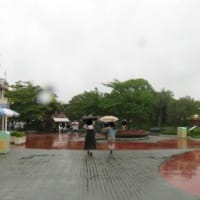 雨だが！ディズニーランドに行こう！（その７）雨を楽しむツワモノたち！