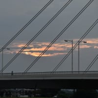 多摩川の夏へ
