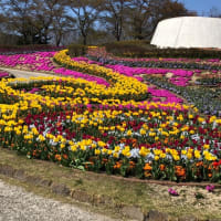 悲しくて辛いよ。