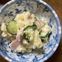 じゃがいもを試し掘り