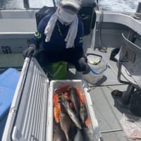 ６月17日の釣果〜🎣🐟