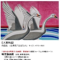 フライフィッシング ２０２５ 「４月・５月釣行」 木曾路・信濃路（源流）　綺麗なイワナを求めて・・・！！
