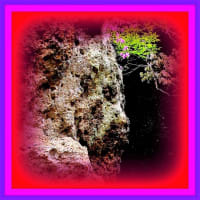 🐉🌈〖大谷寺〗岩壁に【🔥不動明王様🔥】出現❢❢