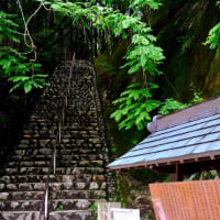 大阪で一番高い山-大阪府千早赤阪村：金剛山