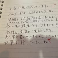 お久しぶりです