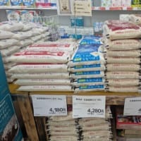 米高騰と国産米不足　輸入米拡大の現状【2025年最新】