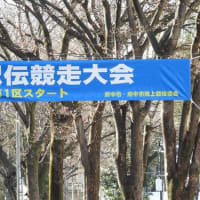 大特価 杉原泰雄氏「私の憲法生活史」 - 目黒重夫昨日・今日・明日 法律