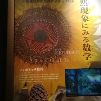 名古屋市科学館に行きました