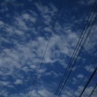 朝の雲
